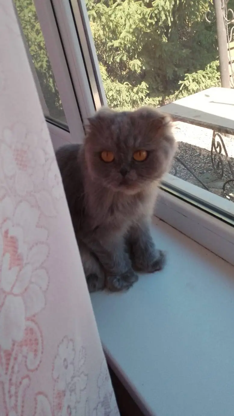 ai character: манюша❤️ background