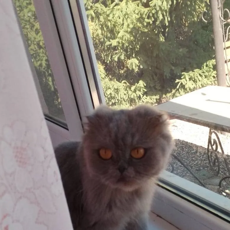 chat with ai character: манюша❤️