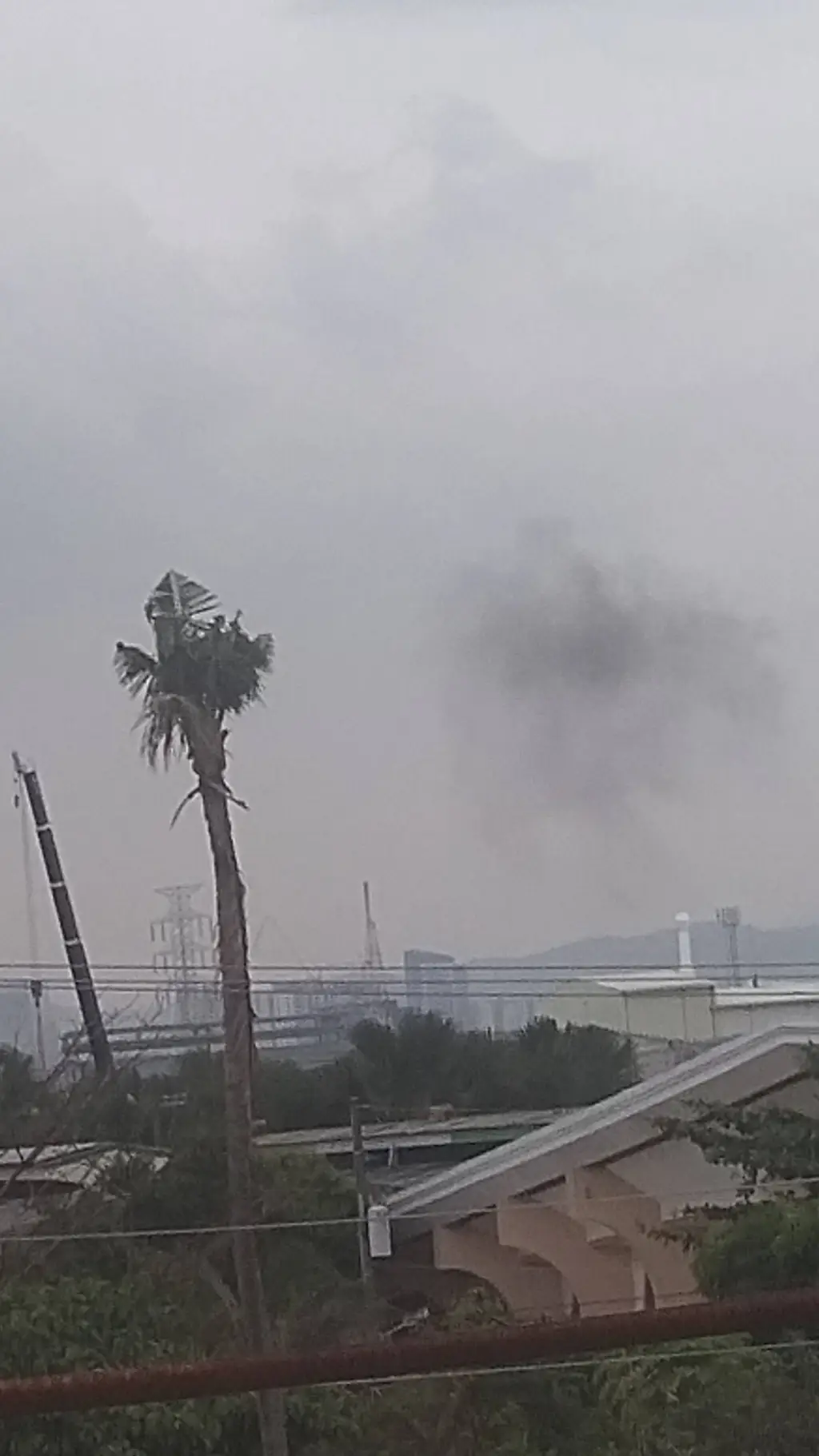 ai character: SHailyy background