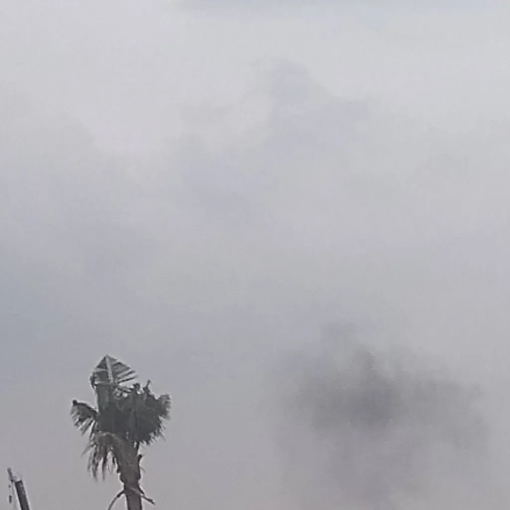 chat with ai character: SHailyy