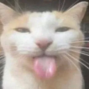 chat with ai character: gato inteligentoso