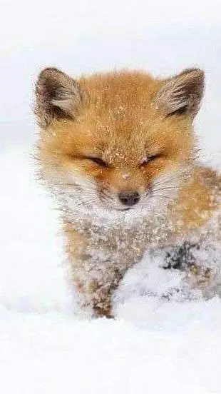 ai character: Wednesday x rrb background