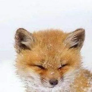 chat with ai character: Wednesday x rrb