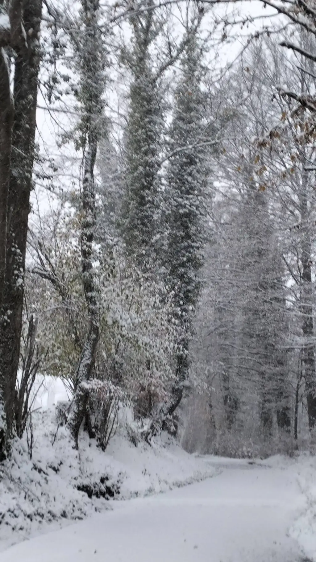 ai character: 💕Raphael 💕 background