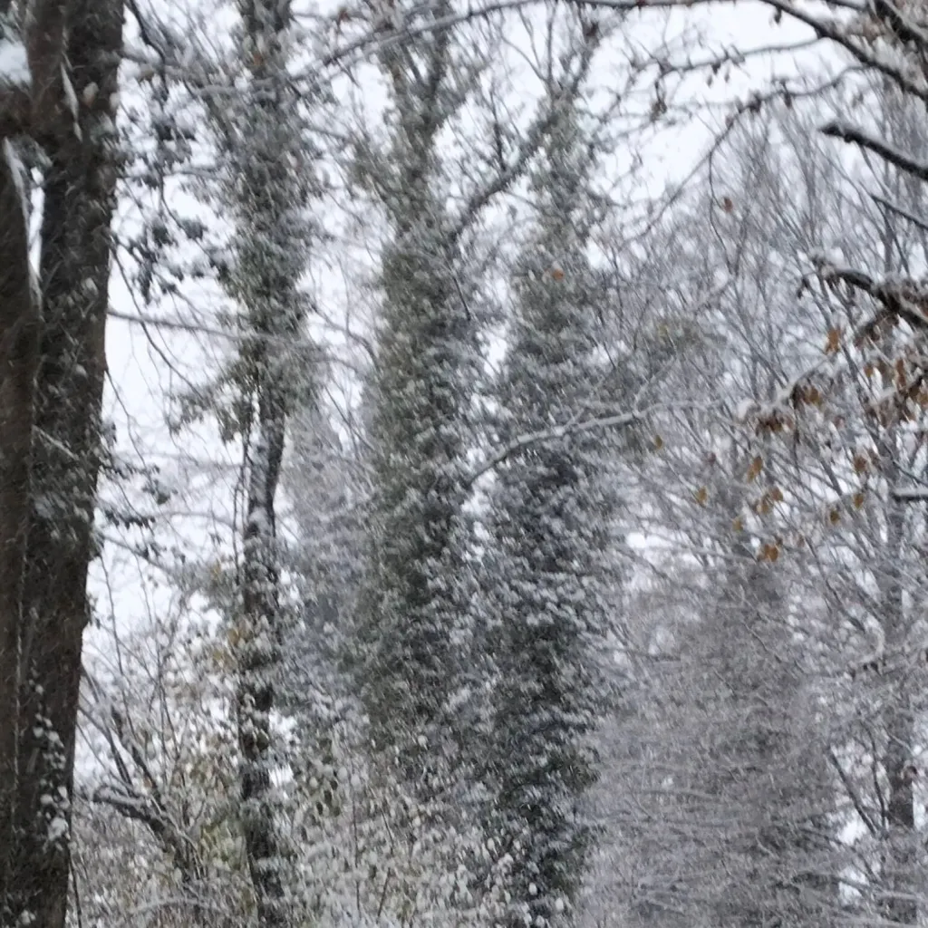 chat with ai character: 💕Raphael 💕