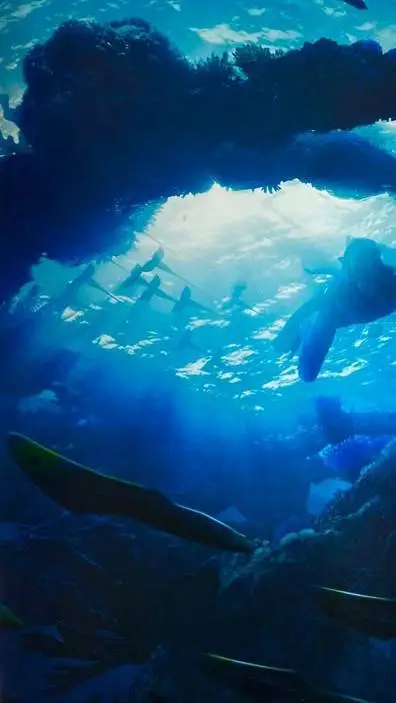 ai character: ~🌊★AVATAR★🌊~ background