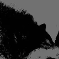 chat with ai character: ★YOUR TALKIE★