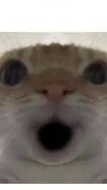 ai character: lIl background