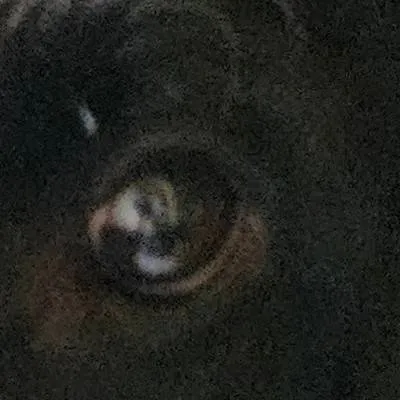 chat with ai character: fallout 