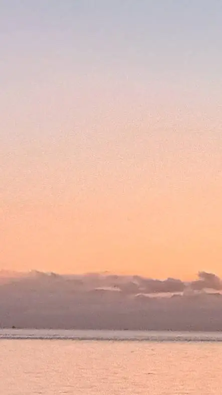 ai character: ANYTHING  background