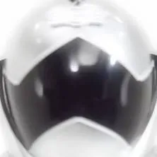 chat with ai character: Silver Ranger
