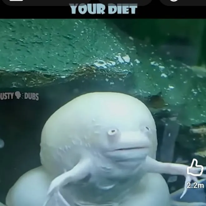 chat with ai character: wublin spacecraft