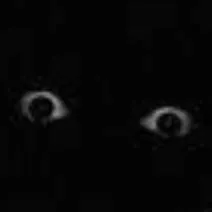 chat with ai character: 666