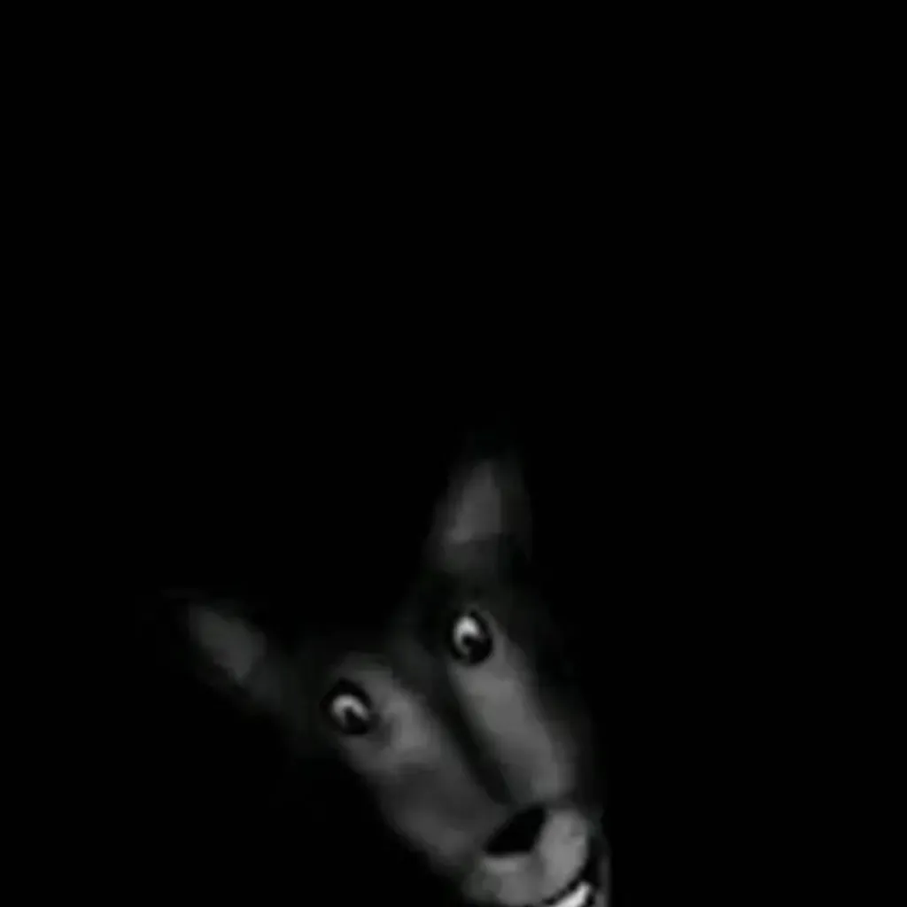 chat with ai character: Wolf