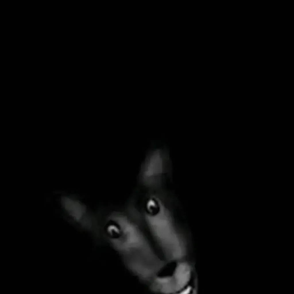 chat with ai character: Wolf