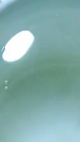 ai character: chance x mafioso background