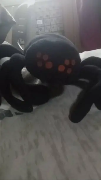 ai character: blacky (my plush) background