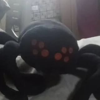 chat with ai character: blacky (my plush)