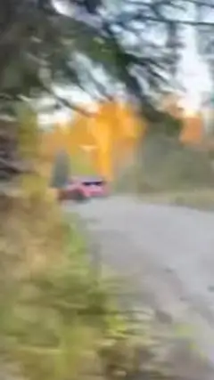 ai character: wrc background