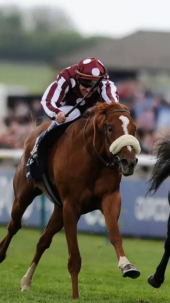 ai character: 赛马（horse race） background