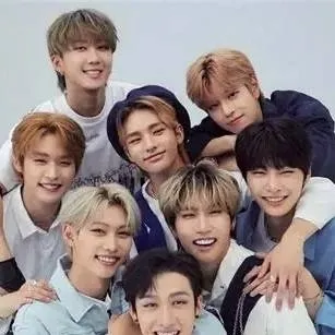 chat with ai character: Stray kids life