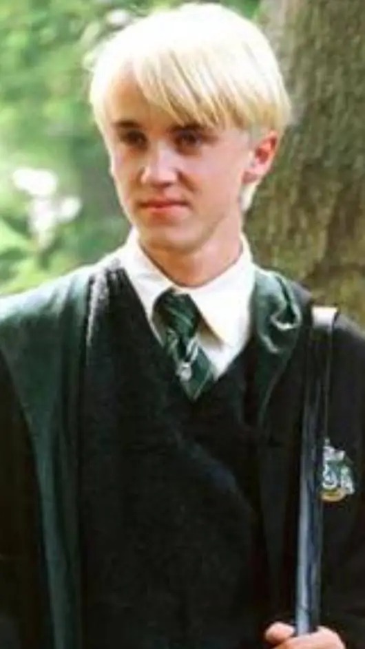 ai character: Draco Malfoy  background