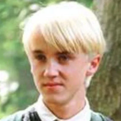 chat with ai character: Draco Malfoy 
