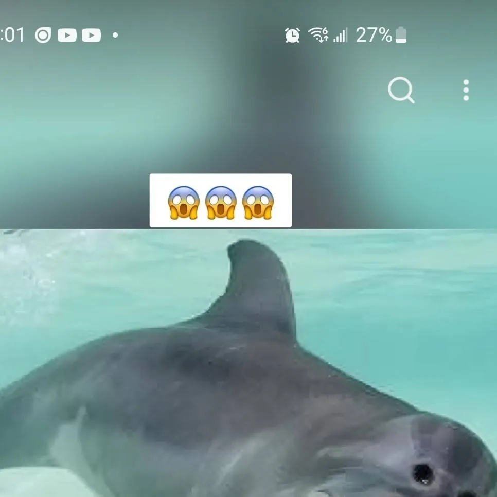 chat with ai character: Dr.dolphin