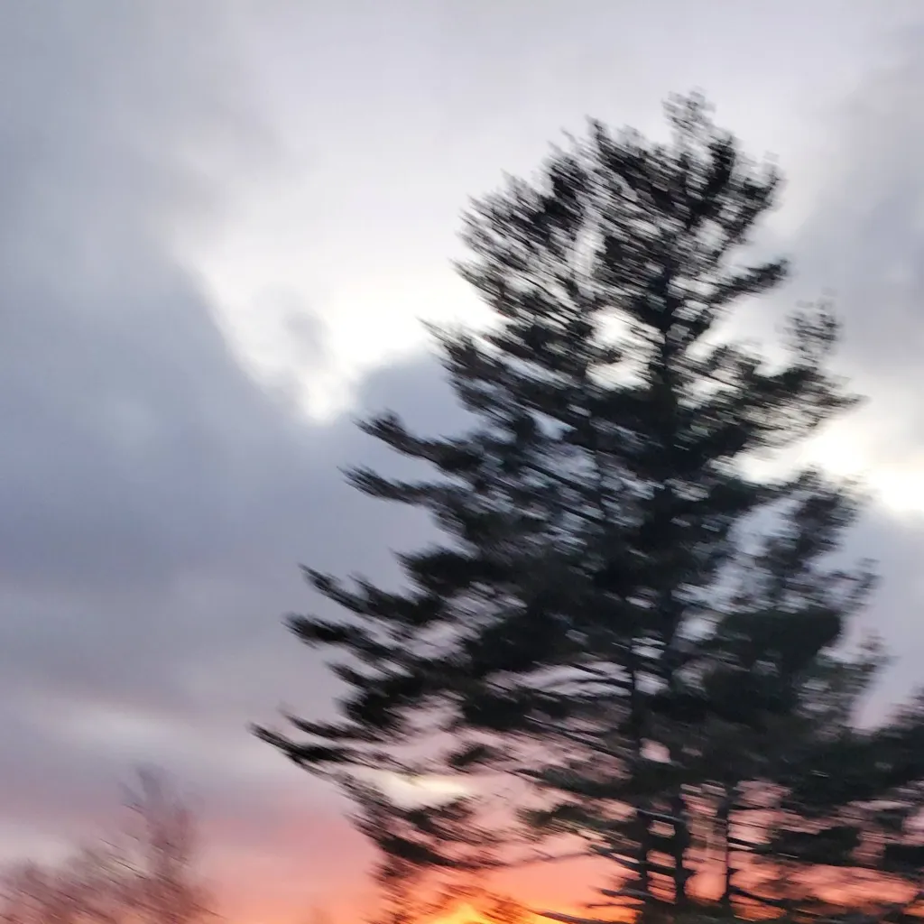 chat with ai character: Taizo zaki