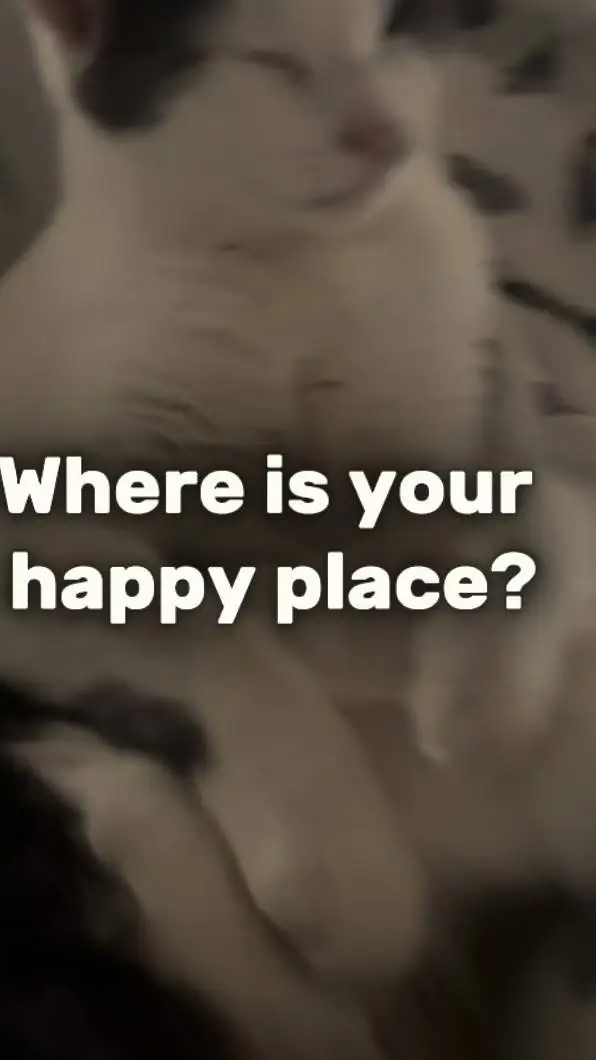 ai character: yuji x toge background