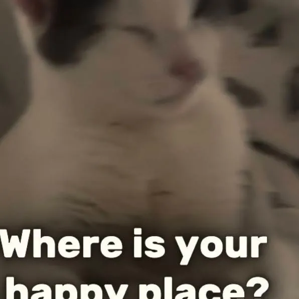 chat with ai character: yuji x toge