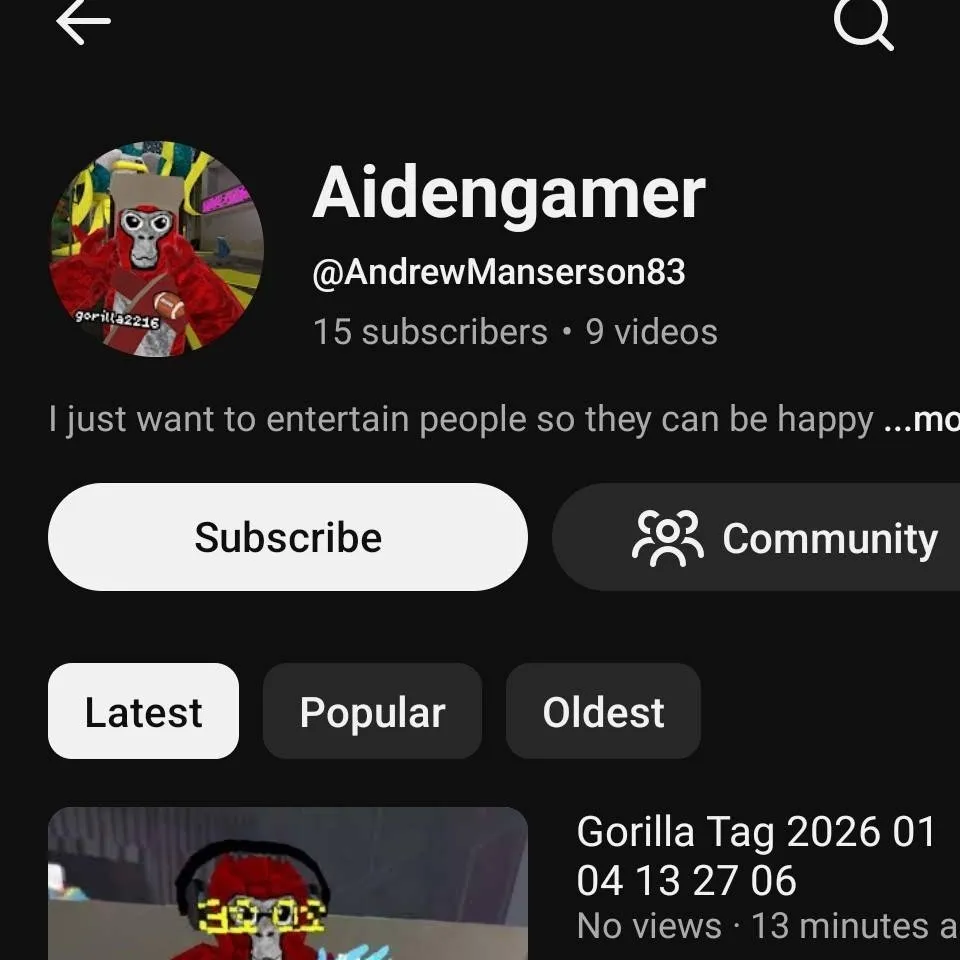 chat with ai character: aidengamer