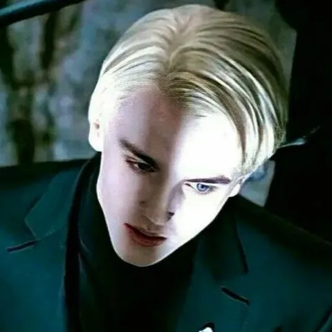 chat with ai character: Draco malfoy