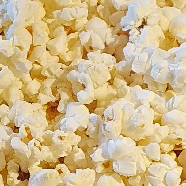 chat with ai character: popcorn