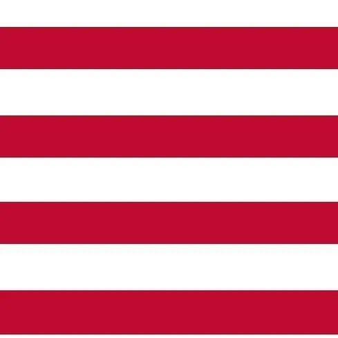 chat with ai character: USA 