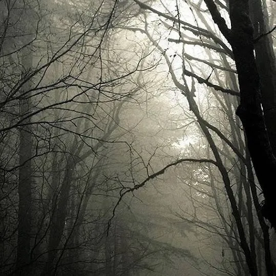 chat with ai character: ~Slenderman~