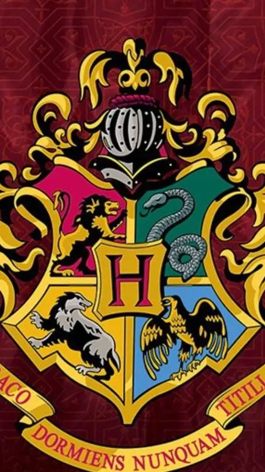 Talkie AI - Chat with Harry potter