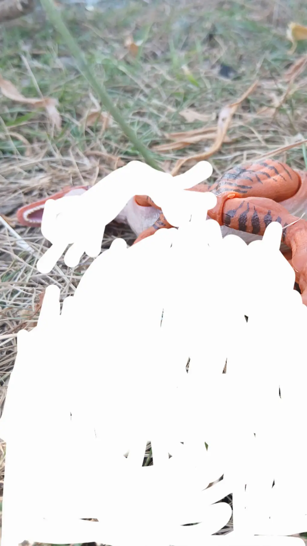 ai character: fat velociraptor background