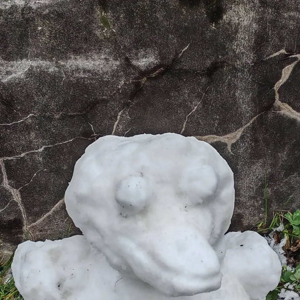 chat with ai character: Transfotmation