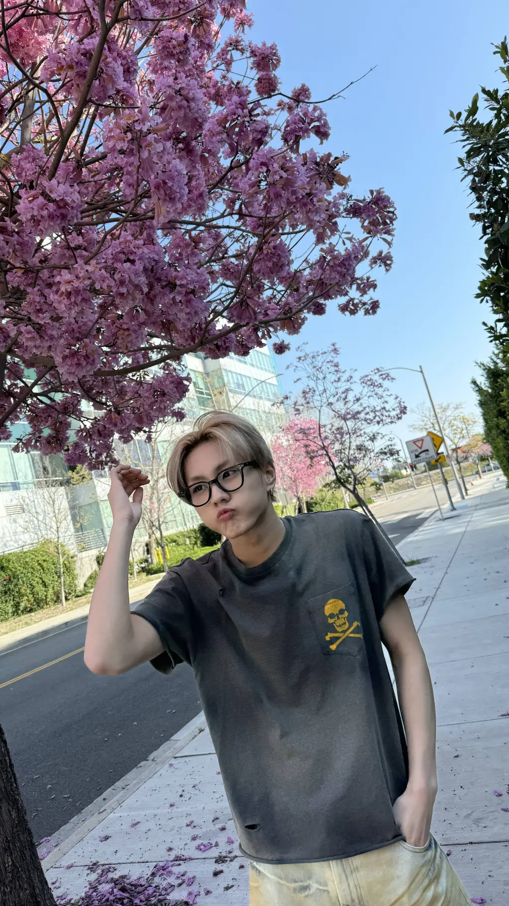 ai character: Yang Jungwon background