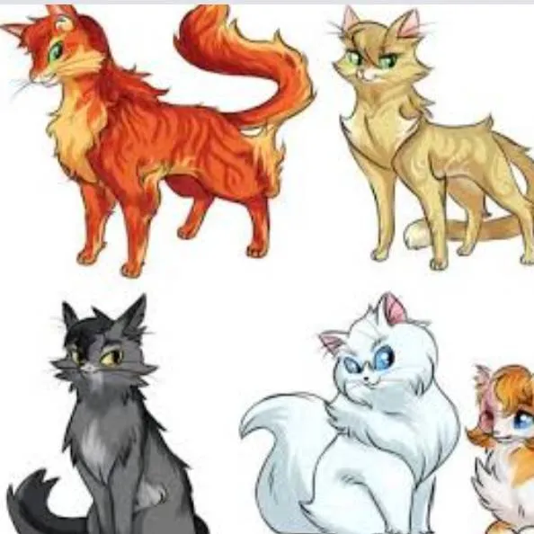 chat with ai character: Death'star's life 