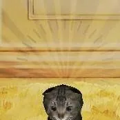 chat with ai character: cat