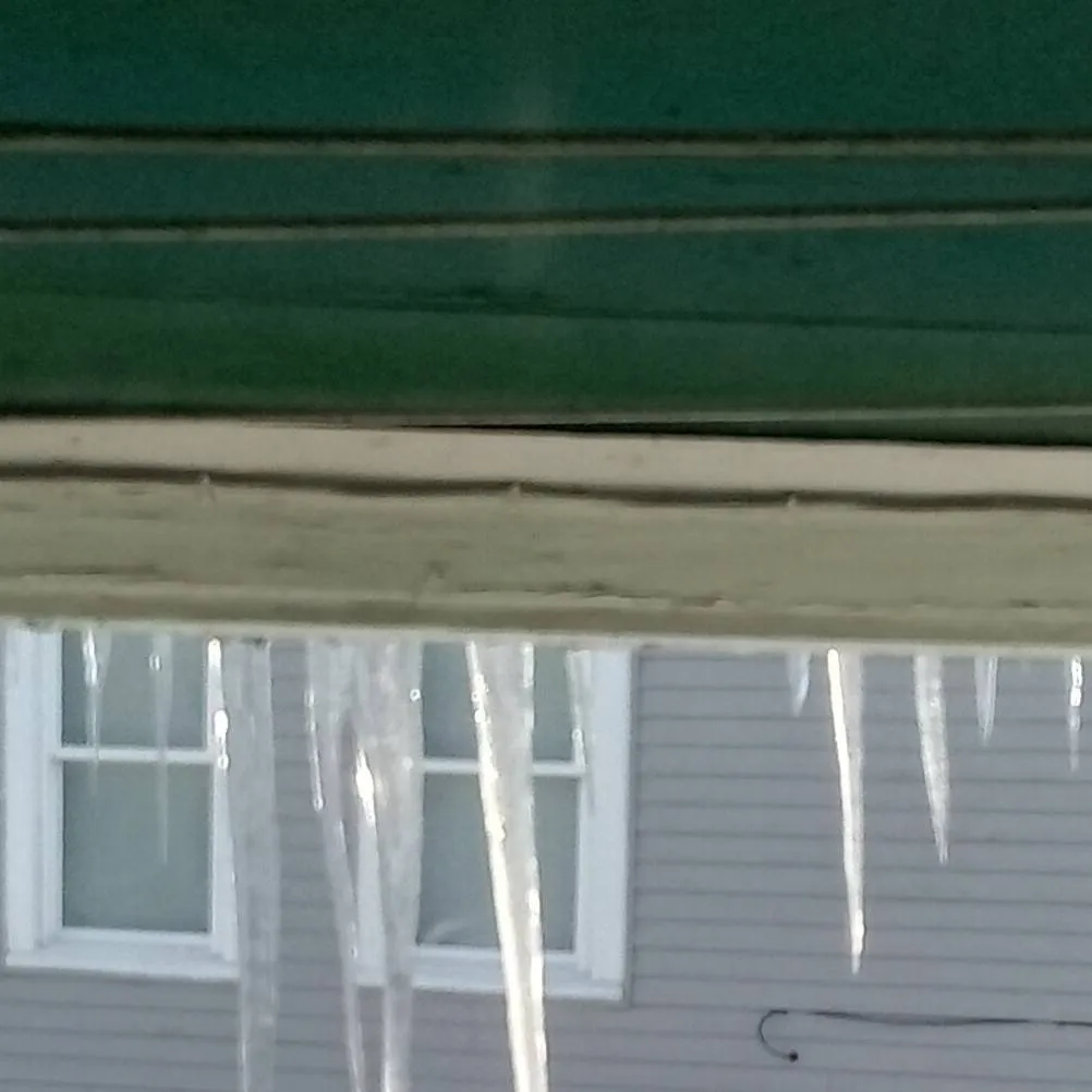 chat with ai character: °☆♡bunny♡☆°