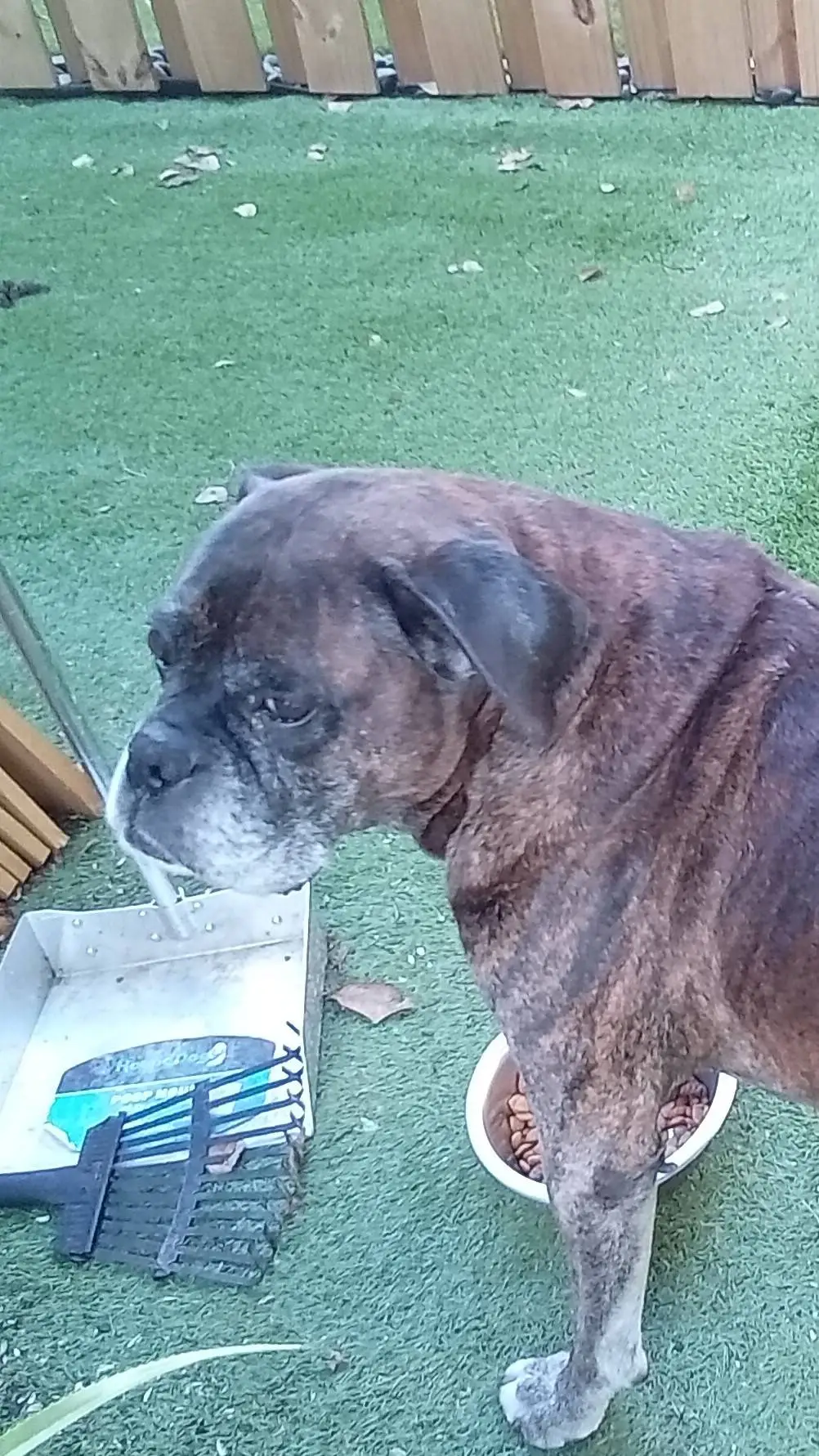 ai character: hh 3 background