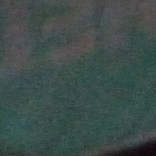 chat with ai character: valentino but pet2