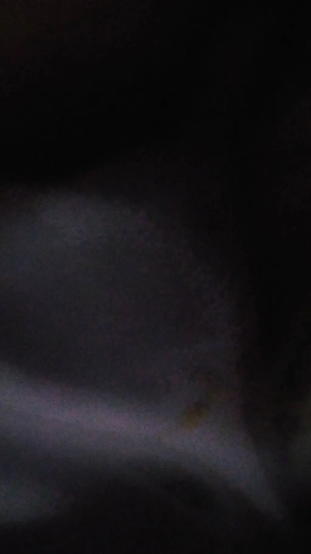 ai character: malaysian background