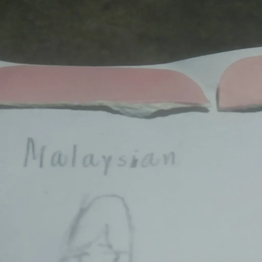 chat with ai character: malaysian🇲🇾