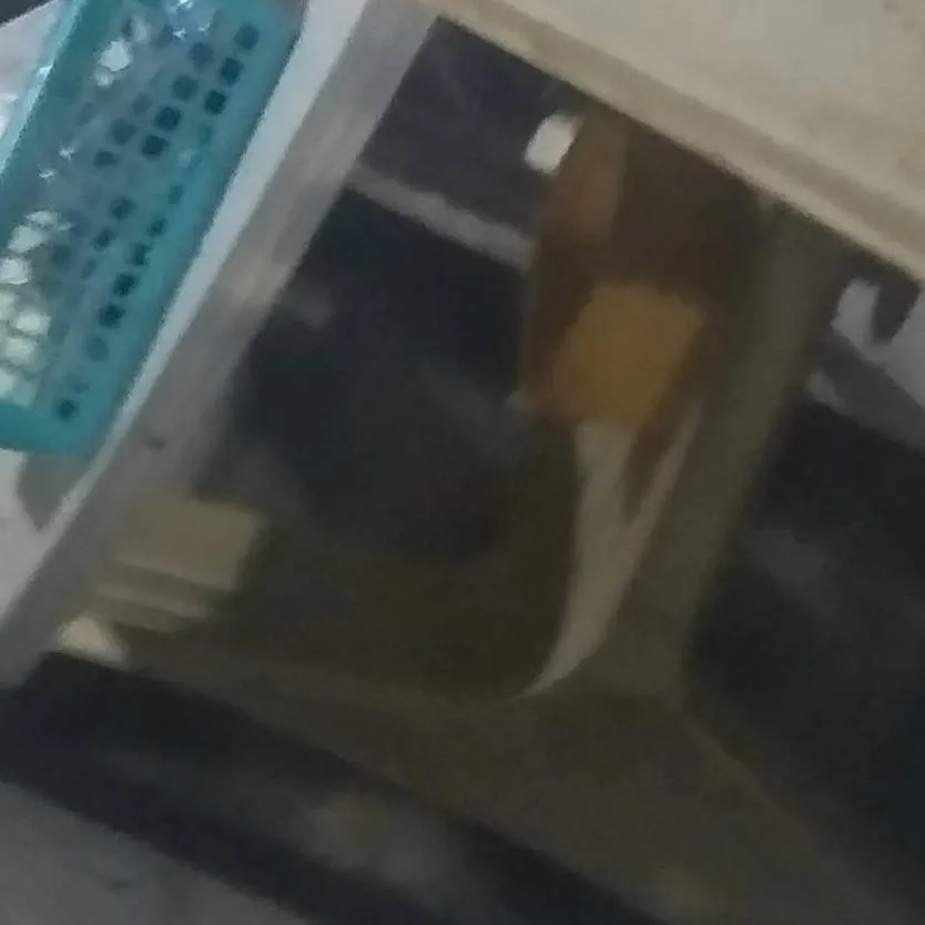 chat with ai character: asian language 