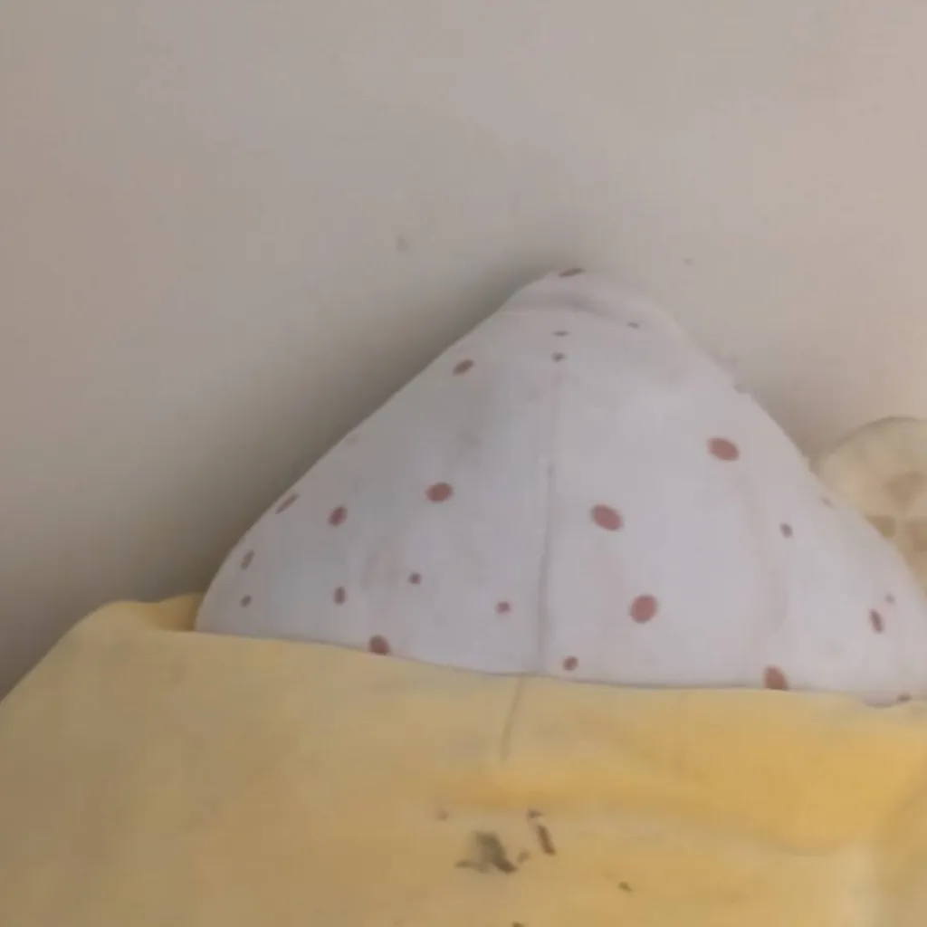 chat with ai character: cupcake