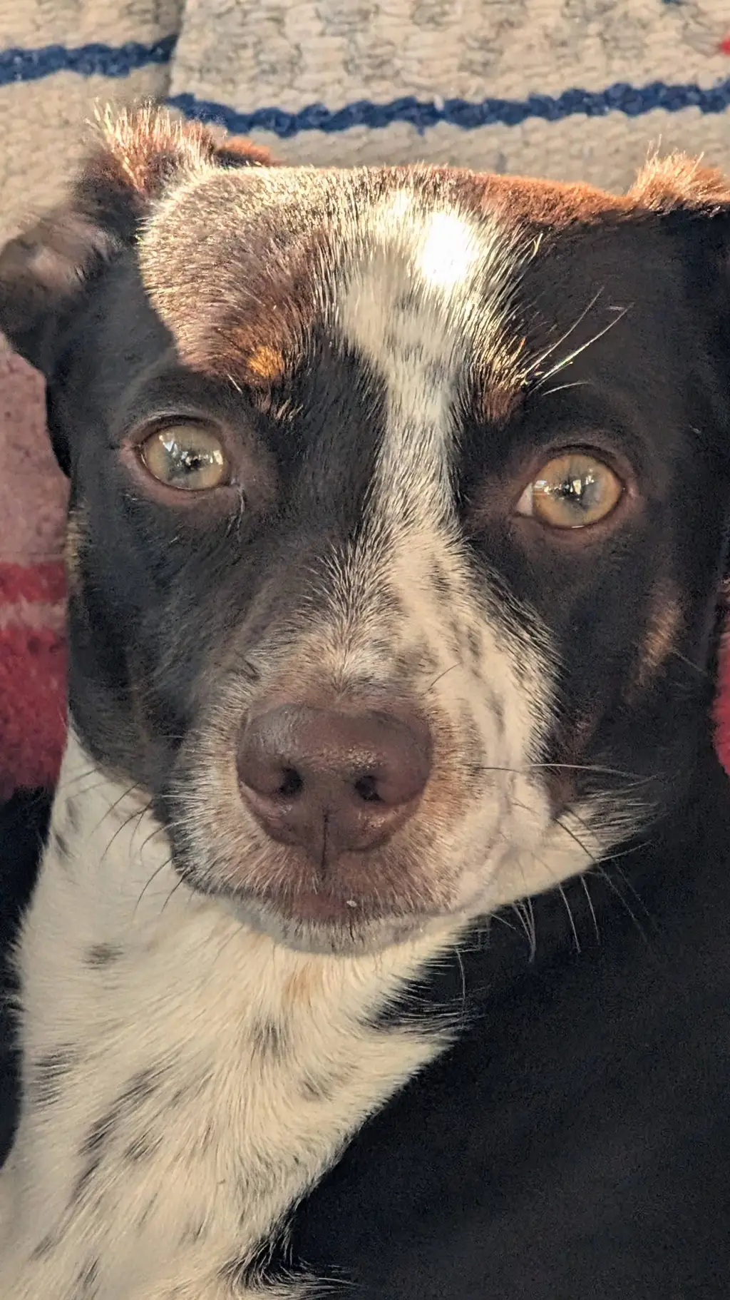 ai character: Maisie background